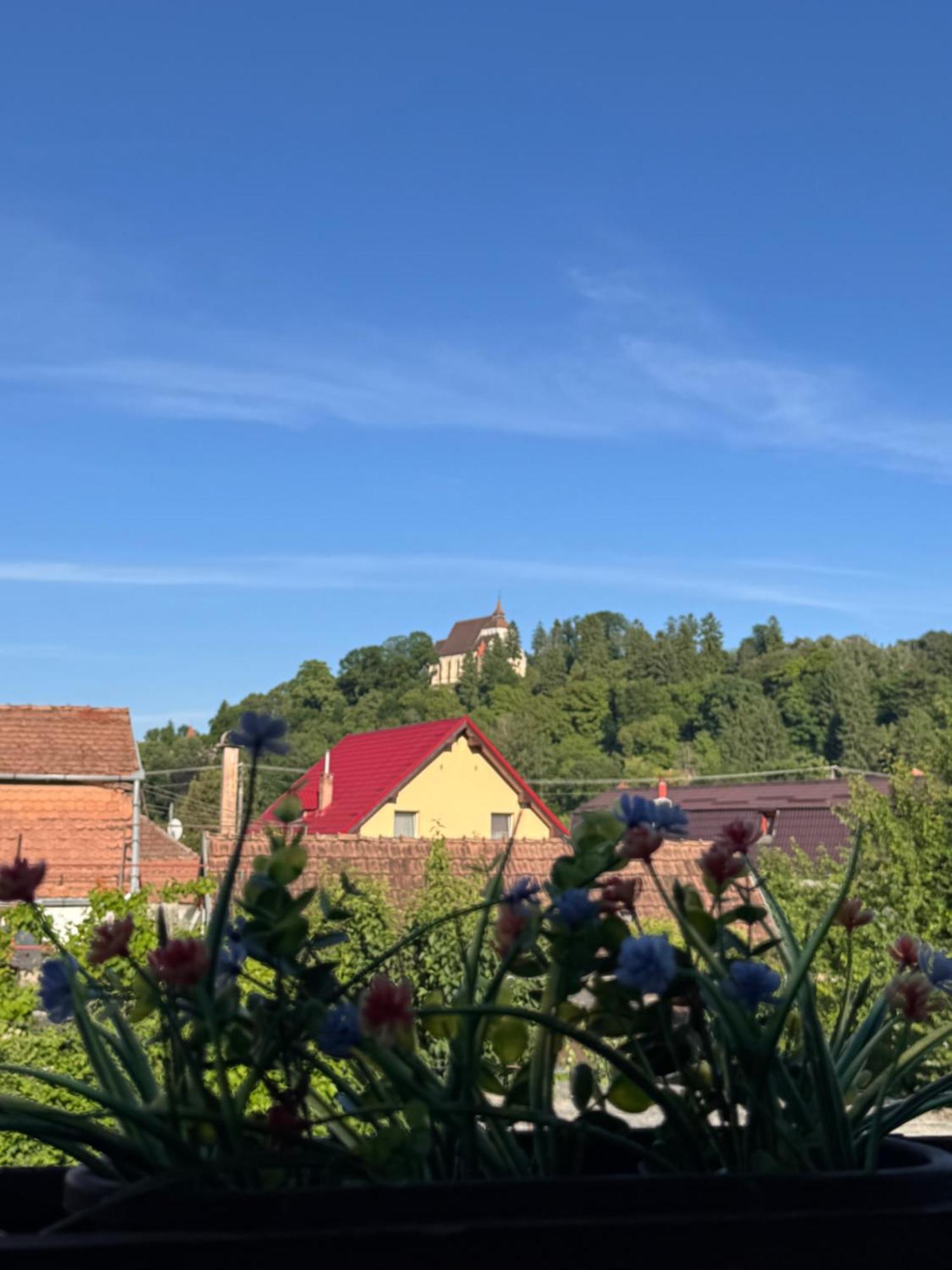 Casa Rio Hotel Sighisoara Exterior photo